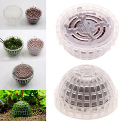 Aquarium Moss Ball – Live Plant Decoration for Fish Tanks, Natural Water Filter for Shrimp & Fish