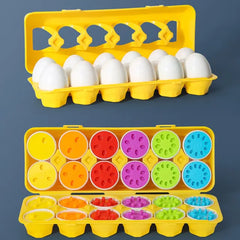 Matching Eggs Toy