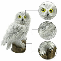Solar LED Garden Stake Lights – Owl & Fairy House Designs