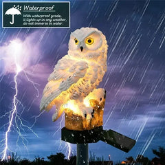 Solar LED Garden Stake Lights – Owl & Fairy House Designs