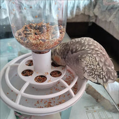 Automatic Bird Feeder with Anti-Scatter Tray