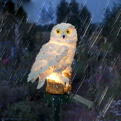 Solar LED Garden Stake Lights – Owl & Fairy House Designs
