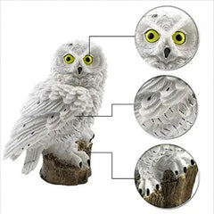 Solar LED Garden Stake Lights – Owl & Fairy House Designs