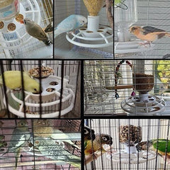 Automatic Bird Feeder with Anti-Scatter Tray