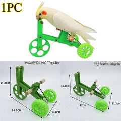 Parrot Bike Toy for Small Birds