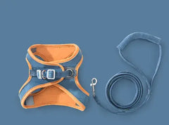 Cat Harness Set