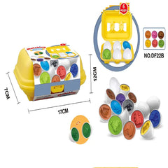 Matching Eggs Toy