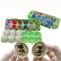 Matching Eggs Toy