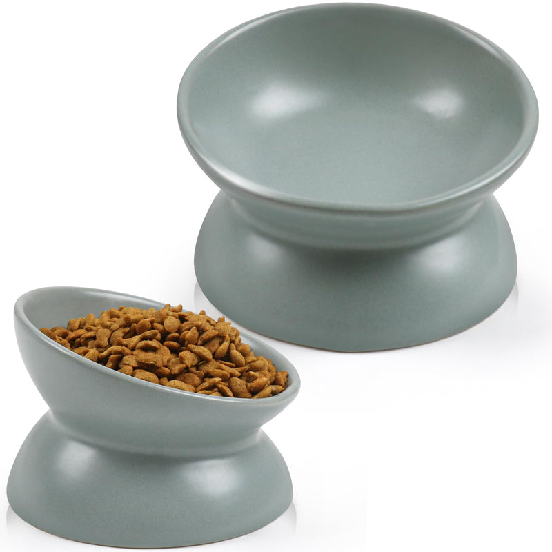 Rapsrk Raised & Tilted Ceramic Cat Food Bowl – 5