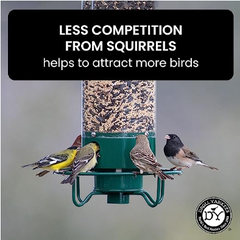 Outdoor Wrought Iron Hummingbird Feeder with Perch