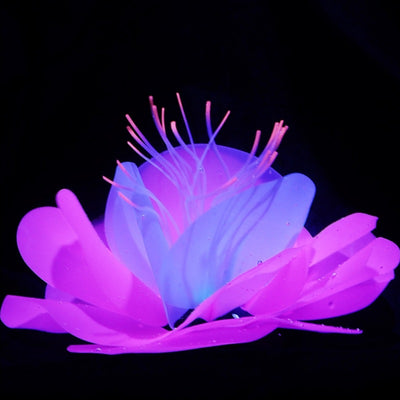 Fluorescent Silicone Aquarium Plant – Colorful Artificial Water Lily Fish Tank Decoration