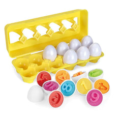 Matching Eggs Toy